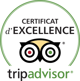 Trip Advisor Excellence Les Vieilles Vignes