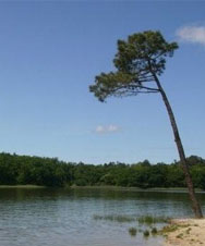 detente et calme dans le prigord